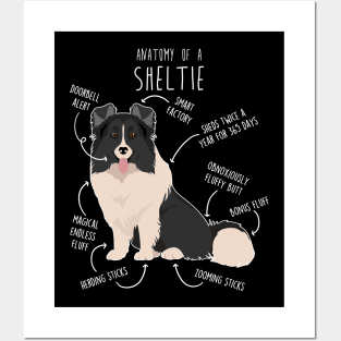 Bi Black Sheltie Shetland Sheepdog Anatomy Posters and Art